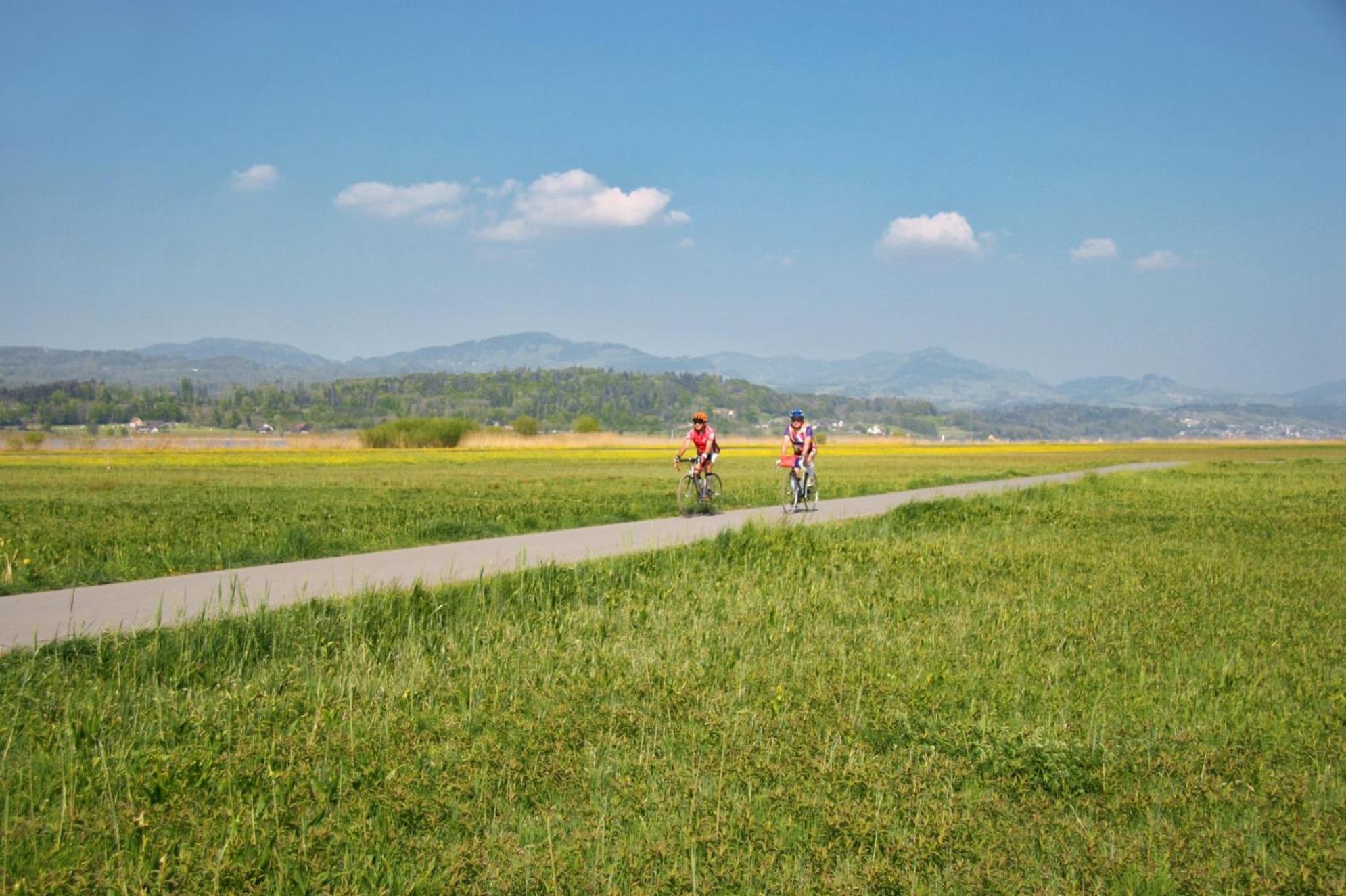 Landgasthof Zum Zimmermann Jona - Rapperswil 外观 照片